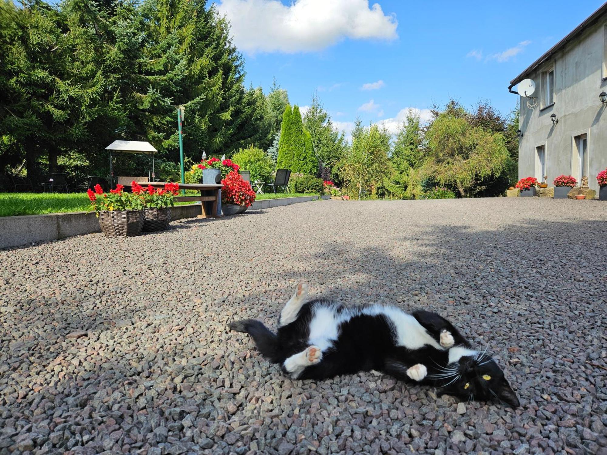 Noclegi U Przewodnikow - Zwiedzaczek Lubawka Esterno foto
